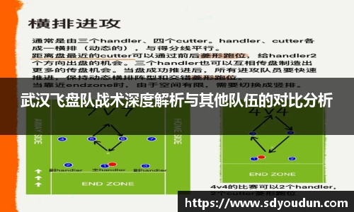 武汉飞盘队战术深度解析与其他队伍的对比分析