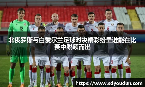 北俄罗斯与白爱尔兰足球对决精彩纷呈谁能在比赛中脱颖而出